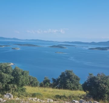 Topview - Tvrdomešnjak